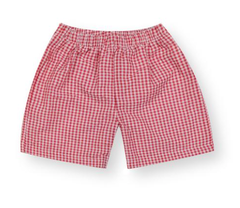 Boys Gingham Shorts