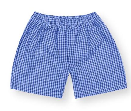 Boys Gingham Shorts