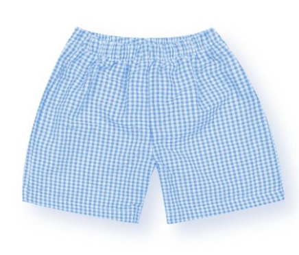 Boys Gingham Shorts